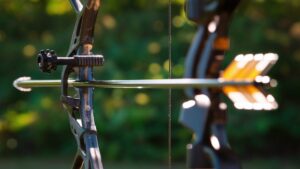 Read more about the article What is a Compound Bow : Essential Guide