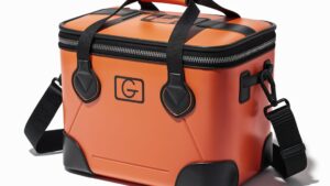 Read more about the article Lunch Cooler Bag Buying Guide: Top Features to Consider