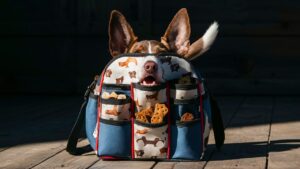 Read more about the article Dog Training Treat Bag Buying Guide: Top Picks & Tips