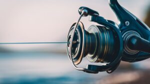 Read more about the article How Does a Closed Face Reel Work: Angling Essentials