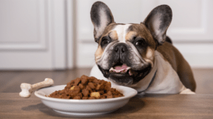 Read more about the article Is Dry Food Ideal for French Bulldogs? Unveiling the Truth