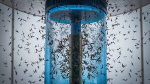 Read more about the article Are Mosquito Traps Effective? Discover the Truth and Say Goodbye to Mosquitoes!