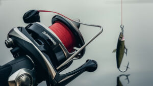 Read more about the article How to Oil a Shimano Baitcaster: Expert Tips Unveiled