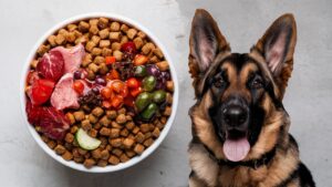 Read more about the article How Many Cups of Dog Food for German Shepherd: Optimal Diet Tips