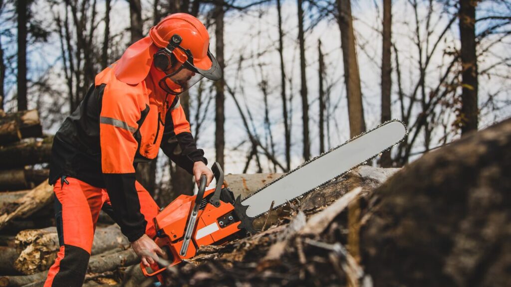 Chainsaw for Wood Cutting