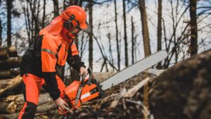 Read more about the article What Safety Gear Do You Need When Using a Chainsaw for Wood Cutting? Essential Guide