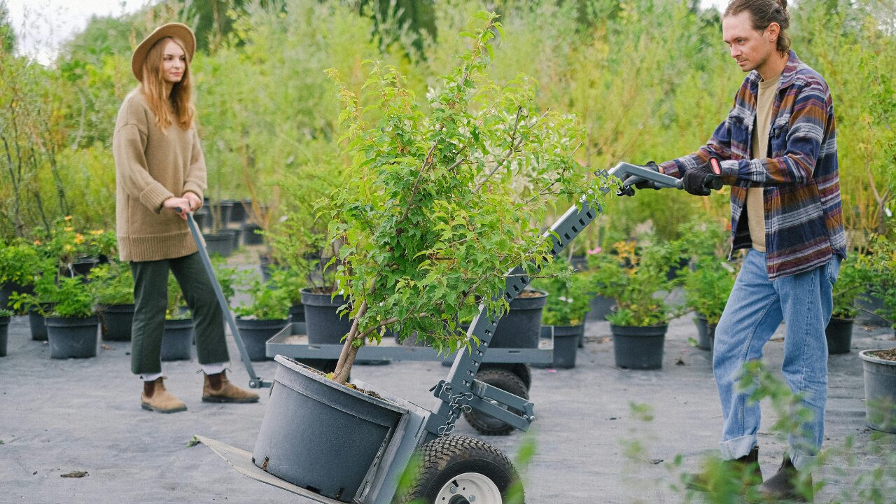 Read more about the article Why Every Homeowner Needs a Dump Cart for Their Lawn Tractor: Essential Benefits