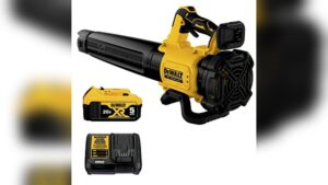 Read more about the article Best Dewalt Leaf Blower Reviews: Top Picks for Powerful Yard Cleaning