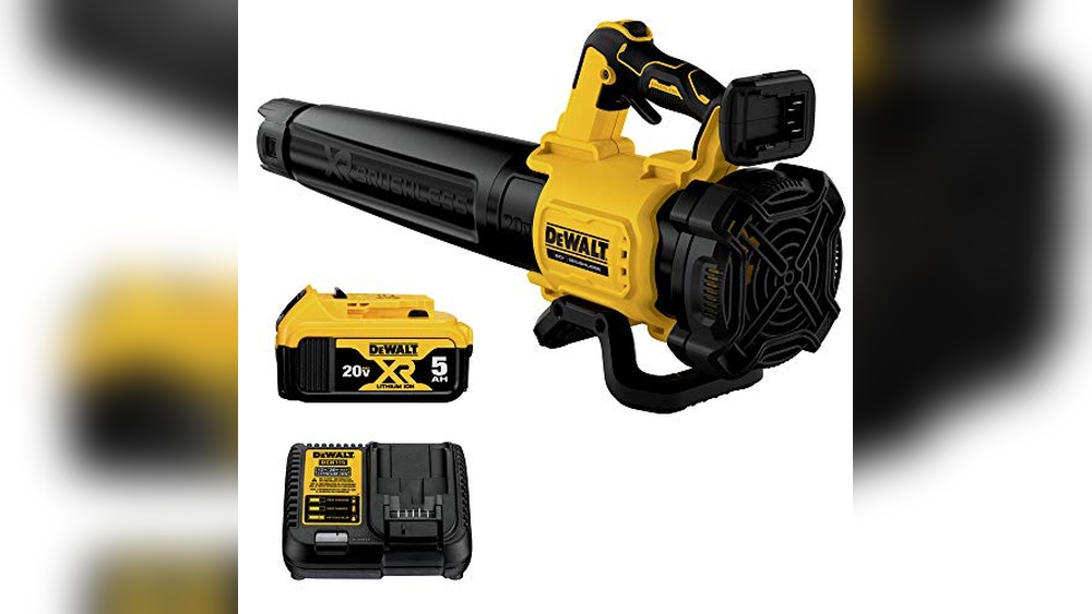 You are currently viewing Best Dewalt Leaf Blower Reviews: Top Picks for Powerful Yard Cleaning