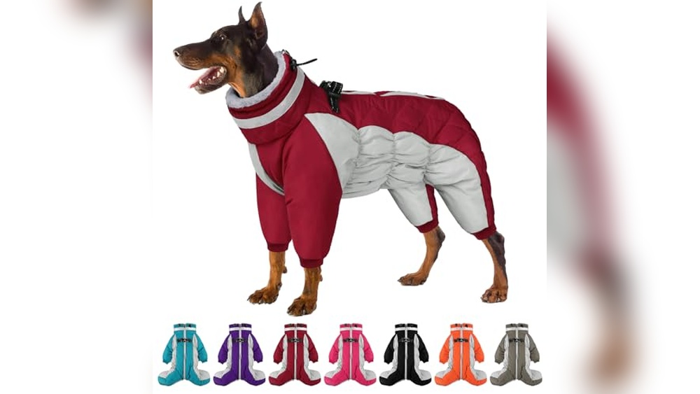 Read more about the article Best Dog Snowsuit With Legs: Top Warmth and Comfort Picks 2026