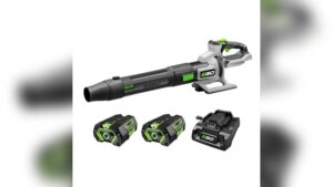 Read more about the article Best Ego Leaf Blower Reviews: Top Picks for Powerful Yard Cleaning