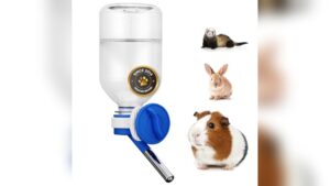 Read more about the article Best Guinea Pig Water Bottle: Top Picks for Happy, Hydrated Pets