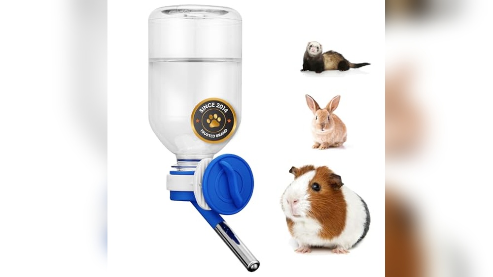 Read more about the article Best Guinea Pig Water Bottle: Top Picks for Happy, Hydrated Pets