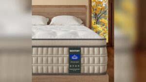 Read more about the article Best Mattress for Degenerative Disc Disease: Top Pain-Relief Picks