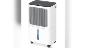 Read more about the article Best Place for Dehumidifier in House: Top Spots to Maximize Efficiency