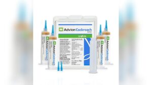 Read more about the article Best Vacuum for Roaches: Top Pest Control Solutions That Really Work