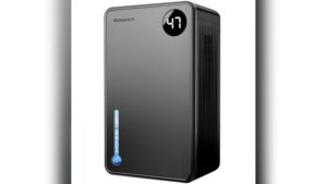 Read more about the article Where to Place a Dehumidifier for Best Results in Any Room